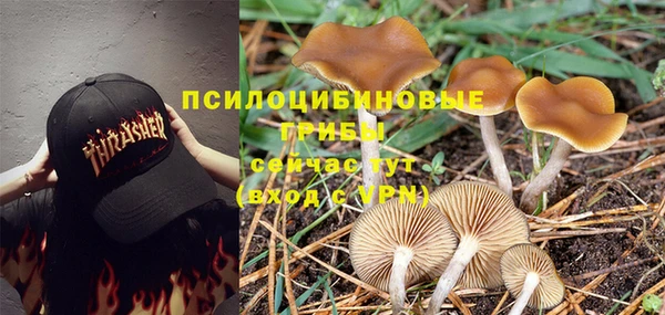 герыч Богородск