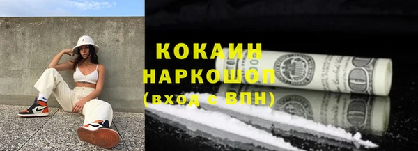 прущий лед Богданович