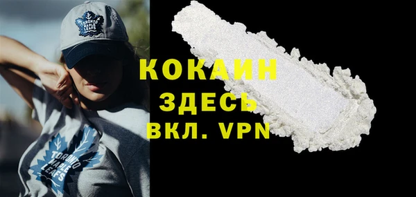 прущий лед Богданович