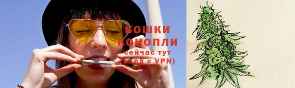 прущий лед Богданович