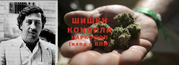 прущий лед Богданович