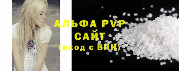 прущий лед Богданович