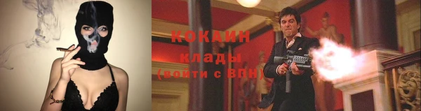 прущий лед Богданович