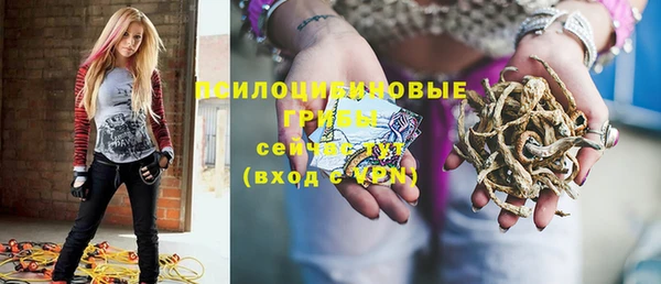 прущий лед Богданович