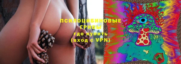 a pvp Богородицк
