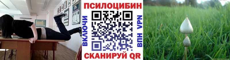 Галлюциногенные грибы прущие грибы  кракен маркетплейс  Шумерля  магазин продажи  
